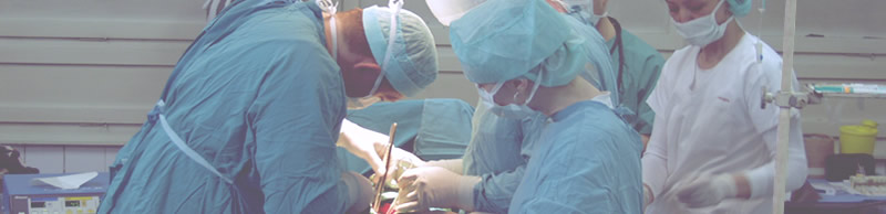 Schultz Healthcare